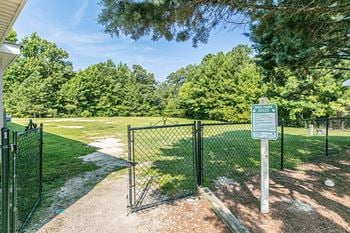Dog park 